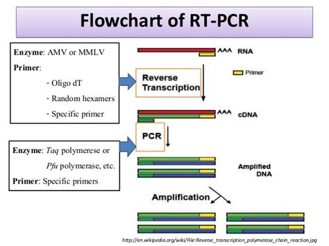 Pcrq Pcrrt Pcr实验 Abf1003 分子生物学平台 安诺伦（北京）生物科技有限公司