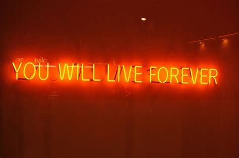 Tim Etchells Neon Signs Orange Aesthetic Neon Aesthetic Red Aesthetic