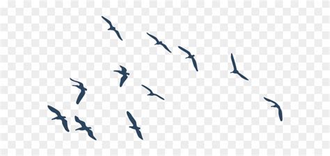 Aves Volando Silueta Png Pajaros Png Transparent Png X