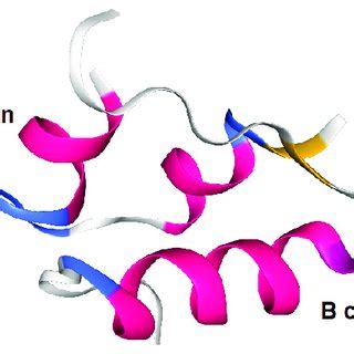 Human insulin X-ray crystal structure (3I40). | Download Scientific Diagram