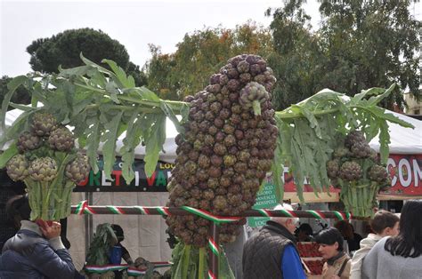 Ladispoli Successo Annunciato Per La Sagra Del Carciofo