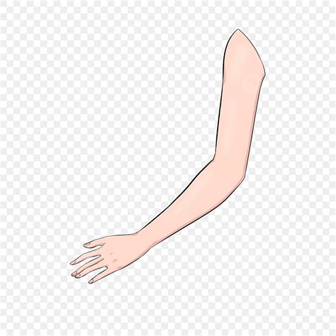 Arms Full Clipart Vector Arm Clip Art Full Arm Clipart Arm Skin