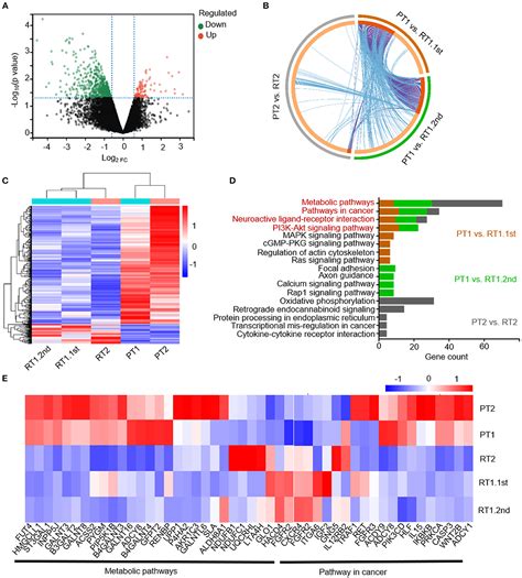 Frontiers Molecular Characterization Of Sub Frontal Recurrent