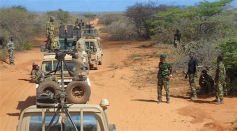 Somalia Kills Over 100 Al Shabaab Militants In Operation Official