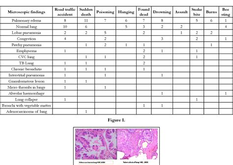 Figure From Spectrum Of Histopathological Lesions In Lungs At Medico