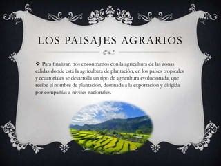 Los Paisajes Agrarios Ppt Descarga Gratuita