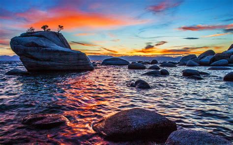 Bonsai Rock Sunset Mac Wallpaper Download | AllMacWallpaper