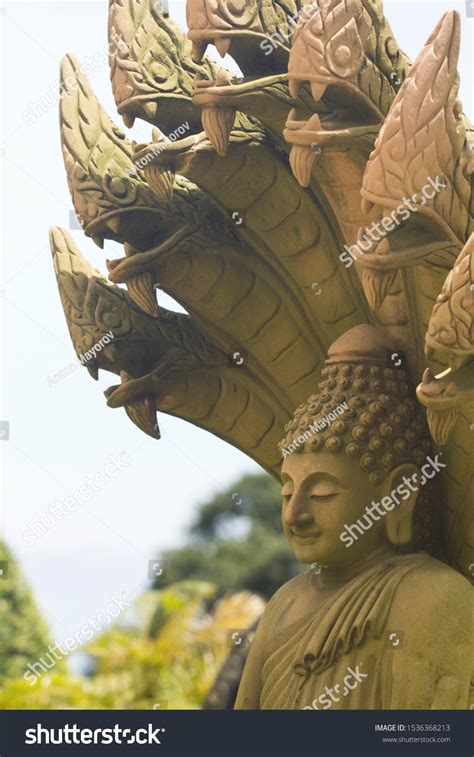 Buddha Statue Heads Snakes Behind Him Stock Photo Shutterstock