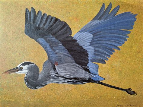 great blue heron flying original reduced  sell   blue