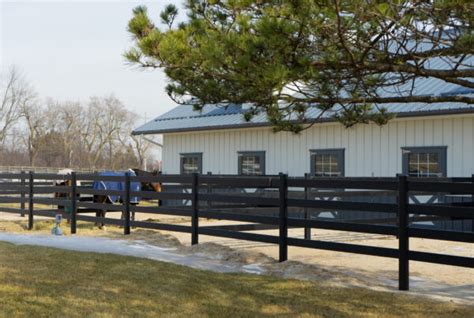 Equine Care At Iverson Equine Practice