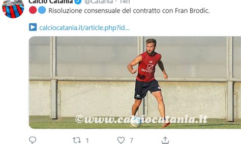 Catania Ufficiale Ha Rescisso Brodic Mercato Calciomercato