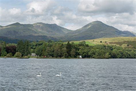 Wild Cat Island Yellow Coniston Launch Co