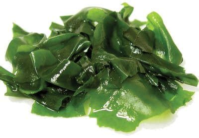 Alga Wakame Propiedades Beneficios Y Contraindicaciones