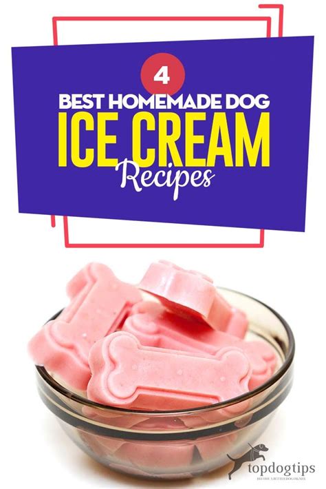 4 Best Homemade Dog Ice Cream Recipes | Dog ice cream recipe, Puppy ice ...