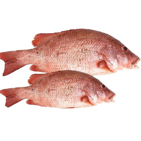 Fresh Red Snapper Fish 1kg • 24 Hours Market Lagos Nigeria