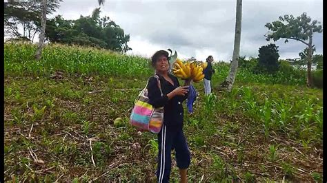 Toyo At Dahon With Saging Sarap Kumain Sa Bukid Lalo Pag Umuulan Youtube