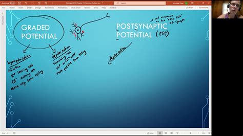 Biology Chapter Nervous System Graded Potential Video