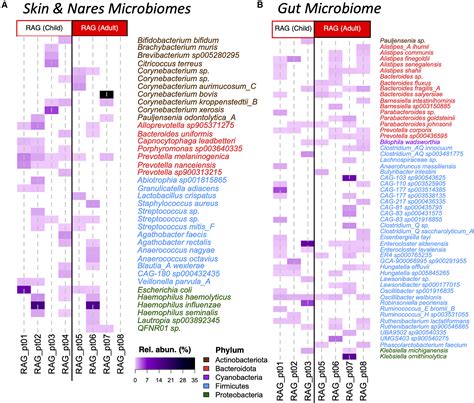 Expanded Microbiome Niches Of Rag Deficient Patients Cell Reports Medicine