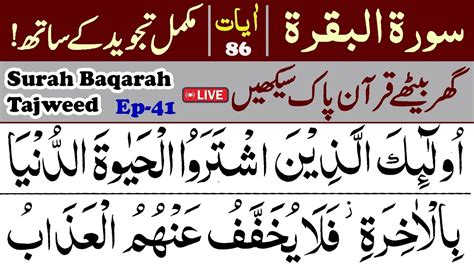 🔴ep41 How To Learn Surah Al Baqarah Live With Tajweed Read Surah