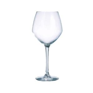 Chef Sommelier N6815 10 Oz Cabernet Champagne Coupe Glass