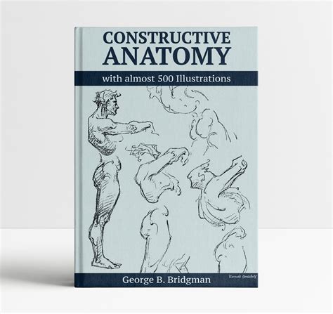 Constructive Anatomy Bridgman Figure Drawing Book Learn to - Etsy