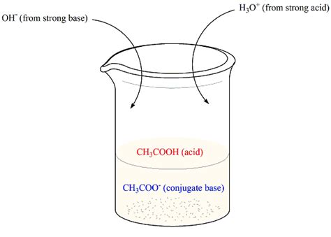 How Does Carbonic Acid Buffer Work - Alfred Rogers Coiffure