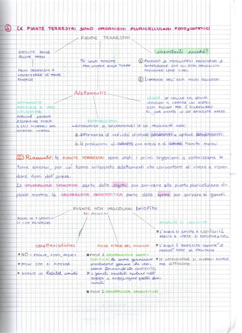 SOLUTION Biologia Il Regno Delle Piante Classificazione Studypool