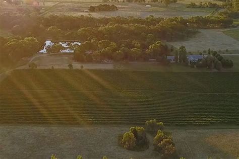 Star Lane Winery Beechworth Wineries And Cellar Door