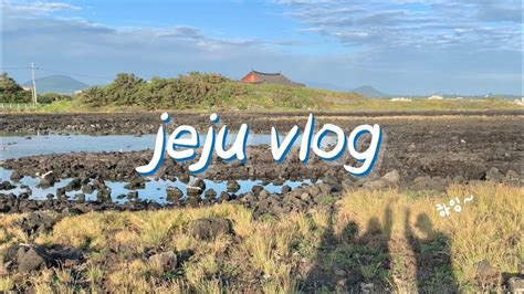 Jeju Vlog 2 혼자 여행 끝 친구들과 제주 여행 브이로그 뷰 쩌는 애월 흑돼지 맛집 인생 까눌레 제주