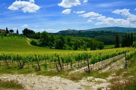 Private Tuscany Day Tour San Gimignano And Chianti Wine Region From