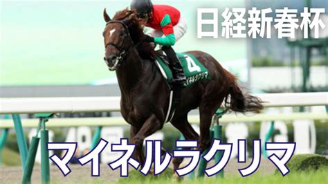 競馬初心者も必読！日経新春杯の過去統計等の情報から予想と魅力の紹介！ 競馬マップ