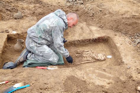 Arqueología historia qué estudia ramas importancia métodos