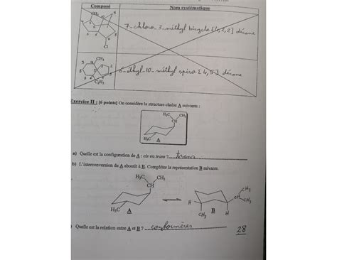 Solution Chimie Organique Examen Corrig Studypool