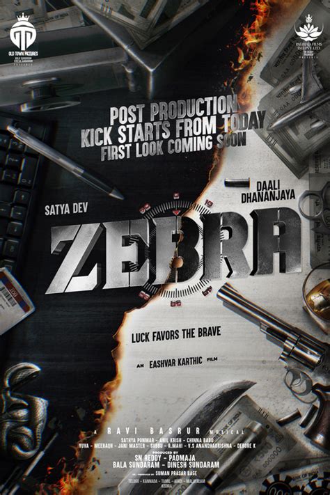 Zebra Movie Poster 1 Of 3 IMP Awards