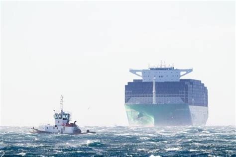 Historic Arrival Of Cma Cgm Palais Royal At Marseille