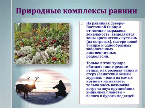 Природные комплексы России - презентация онлайн