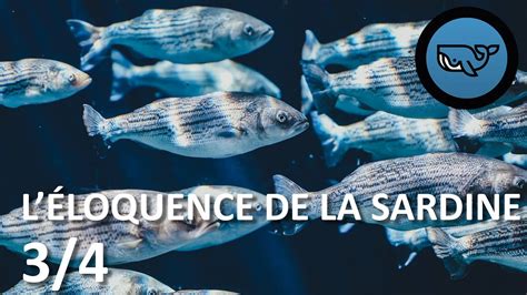 S E L Loquence De La Sardine Les Sprinters De L Oc An Bill