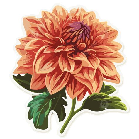 Adesivo Dália Vetor Png Clipart De Flor De Laranjeira Design De Adesivo Com Flor Dália De