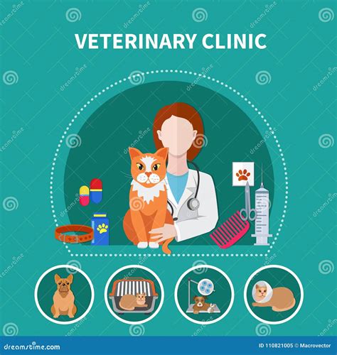 Cartel Plano De La Clínica Veterinaria Ilustración del Vector