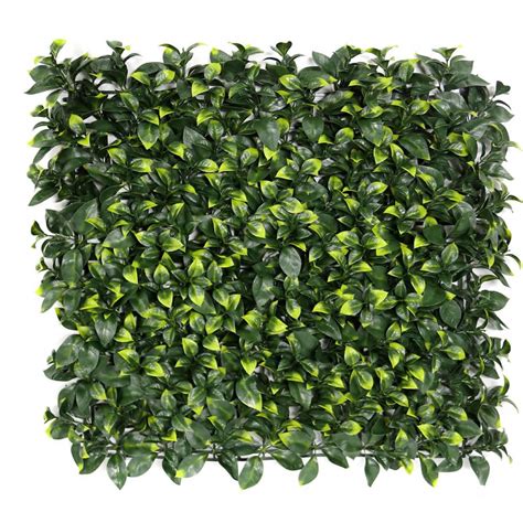 Anti Uv Artificial Boxwood Fern Plant Foliage Fence Fuax Ivy Leaves