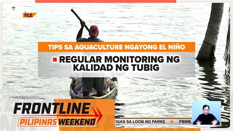 Nasa 1000kg Ng Tilapia Nagkandamatay Sa Lake Sebu Sa South Cotabato