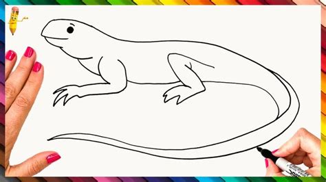 How To Draw A Lizard Step By Step 🦎 Lizard Drawing Easy | Drawing ...