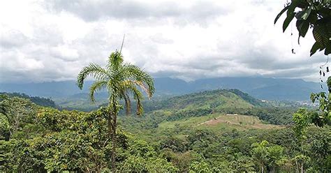 Mocoa ® Capital De Putumayo Datos Prácticos Y Actividades