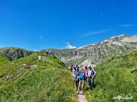 Cultura Animazione Outdoor E Ballo Liscio Tutti Gli Eventi In