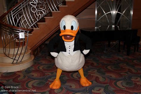 Character Couture Donald Duck Disney Character Central Blog