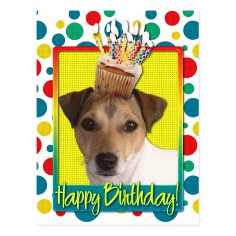 Birthday Cupcake Jack Russell Postcard Zazzle