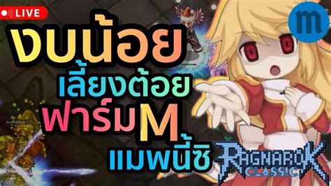 ถ้าเริ่มฟาร์ม ตามเงินเอ็ม ลองแมพนี้ รวยยมั้ง Live 272 Ragnarok