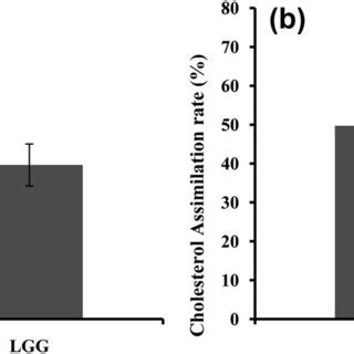 Amylase Activity Inhibition A And Cholesterol Assimilation Ability