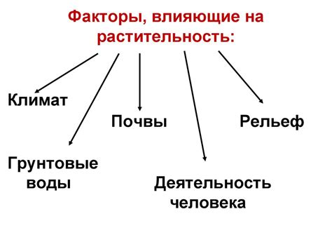 Растительный мир России - презентация онлайн