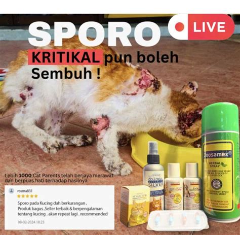 Sporo Kucing Dan Anjing Lazada